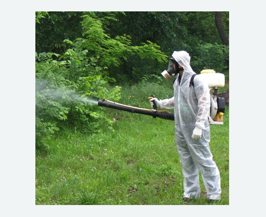 обработка территории от клещей в Давыдово