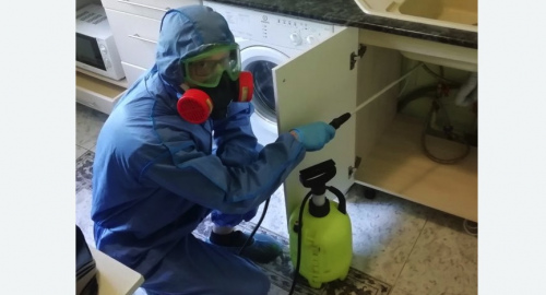 Уничтожение муравьев в квартире. Давыдово