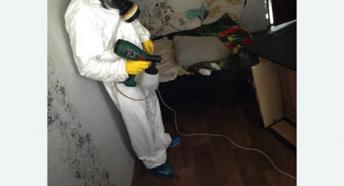 Обработка квартир от насекомых в Давыдово