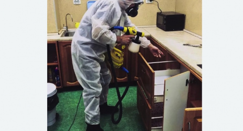Дезинсекция квартиры. Давыдово