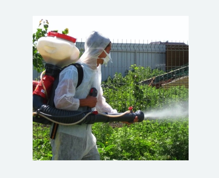 Акарицидная обработка территории в Давыдово