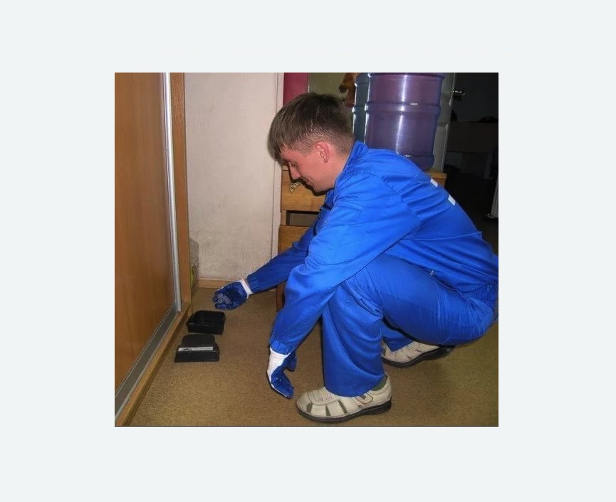 Дератизация крыс в Давыдово