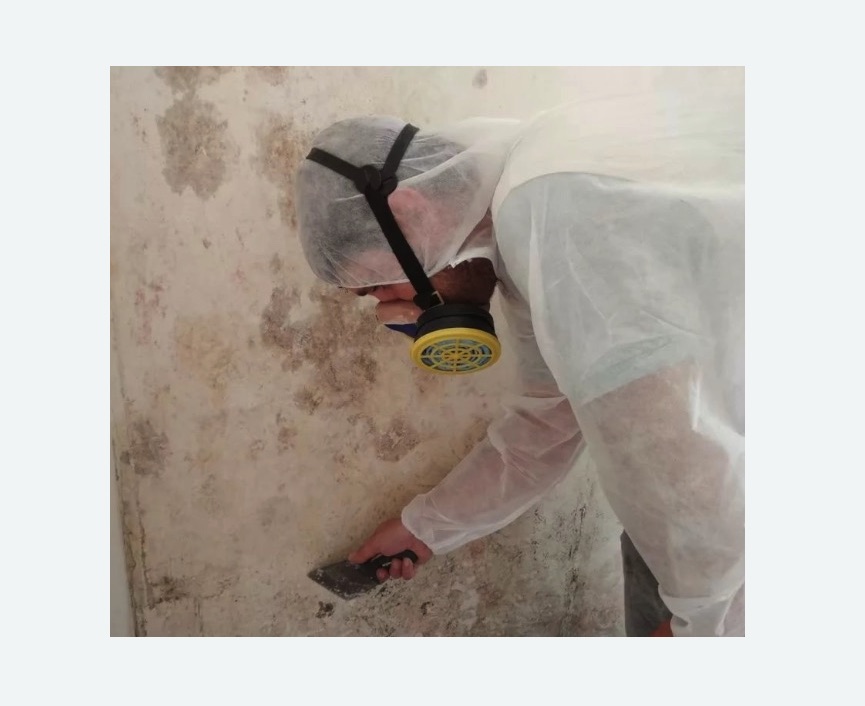 Обработка стен от плесени в Давыдово