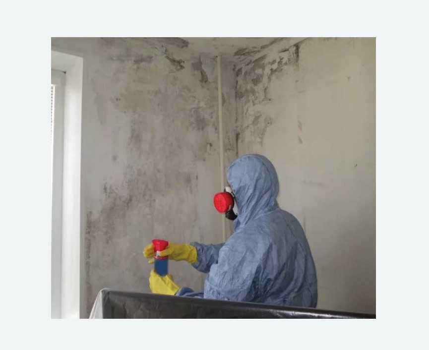 Удаление плесени в квартире в Давыдово