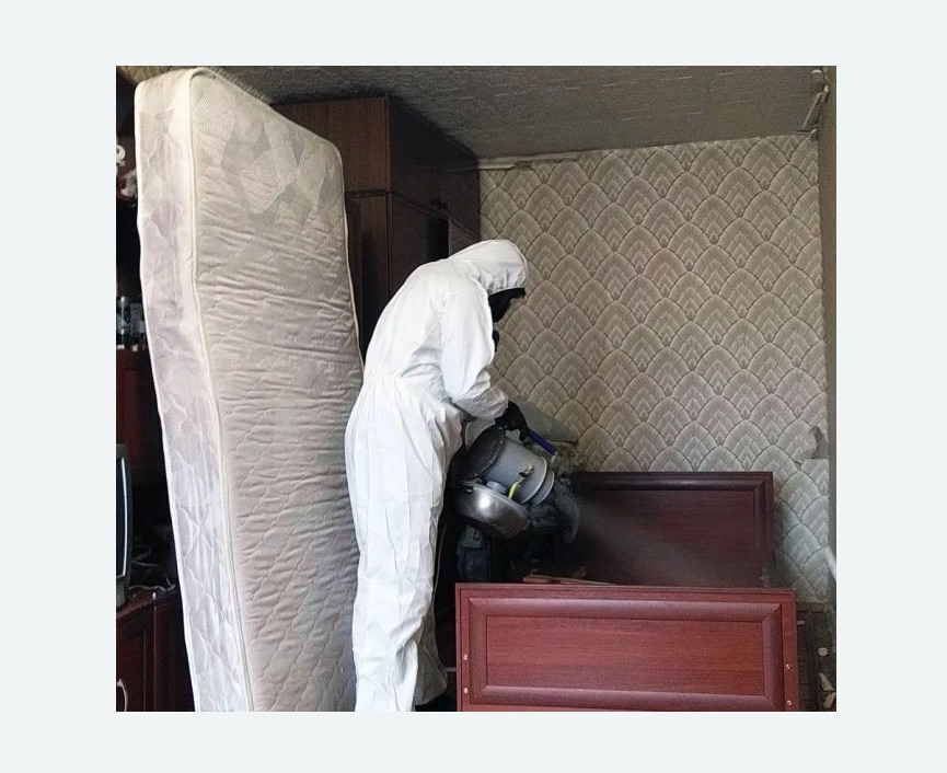 дезинфекция от клопов в Давыдово