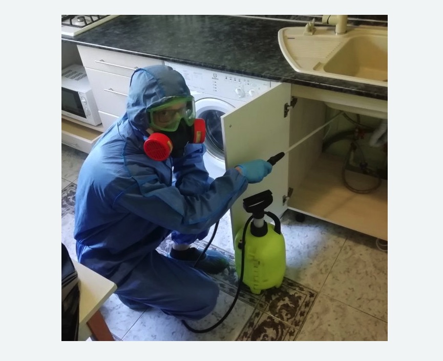 обработка от муравьев в квартире в Давыдово