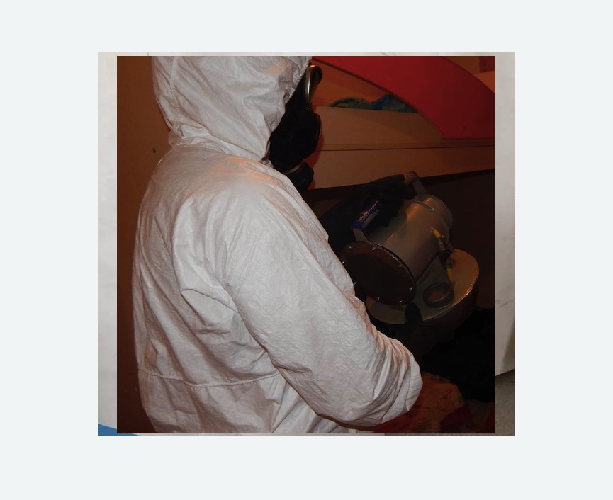 Дезинфекция от муравьев в Давыдово