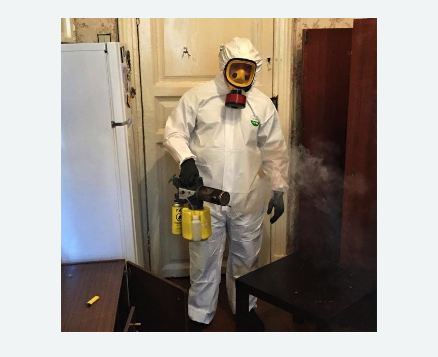 уничтожение муравьев в квартире в Давыдово